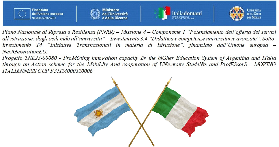 Logo PNRR TNE with Ita Arg flags VR2
